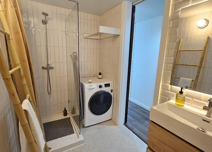 A Proa Do Moliceiro Canal - Gran Blue Апартаменты Авейру